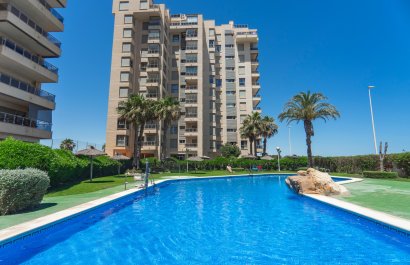 Apartments - Resale - Guardamar del Segura -
                    Puerto Deportivo