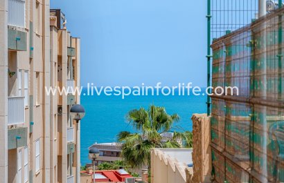 Apartments - Resale - Torrevieja -
                    La Mata