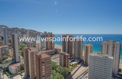 Apartments - Reventa - Benidorm -
                    Benidorm