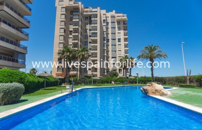 Apartments - Reventa - Guardamar del Segura -
                    Puerto Deportivo