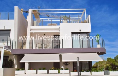 Apartments - Reventa - San Miguel De Salinas -
                    San Miguel De Salinas
