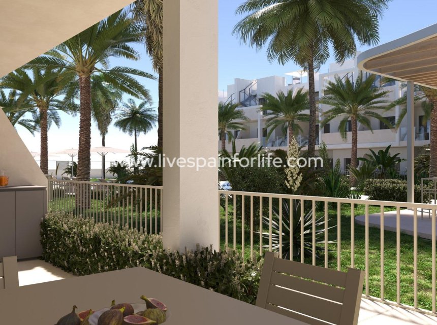  - Apartments -
 - San Cayetano