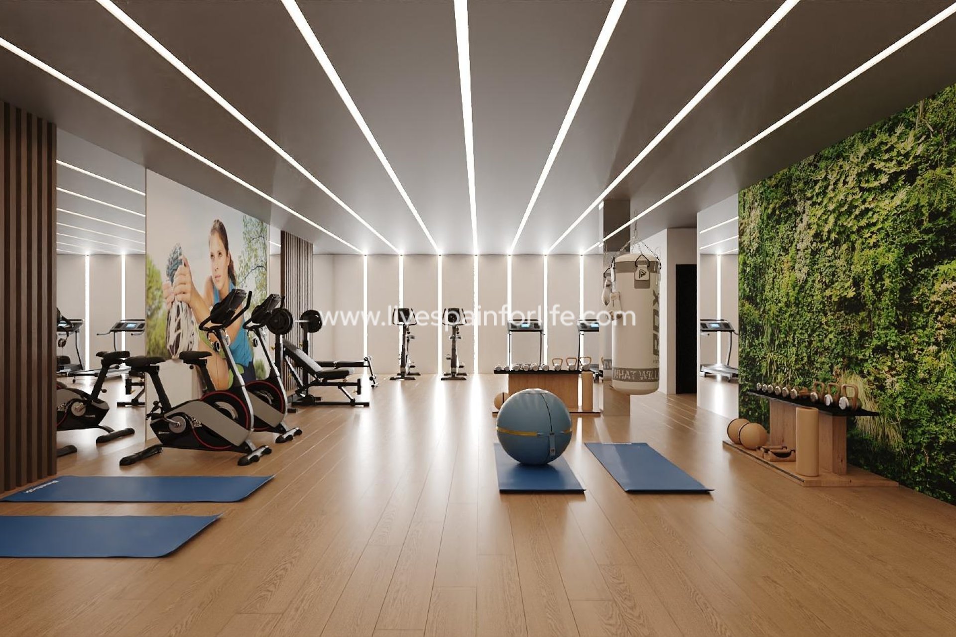  - Apartments -
 - Santa Rosalia Lake & Life Resort