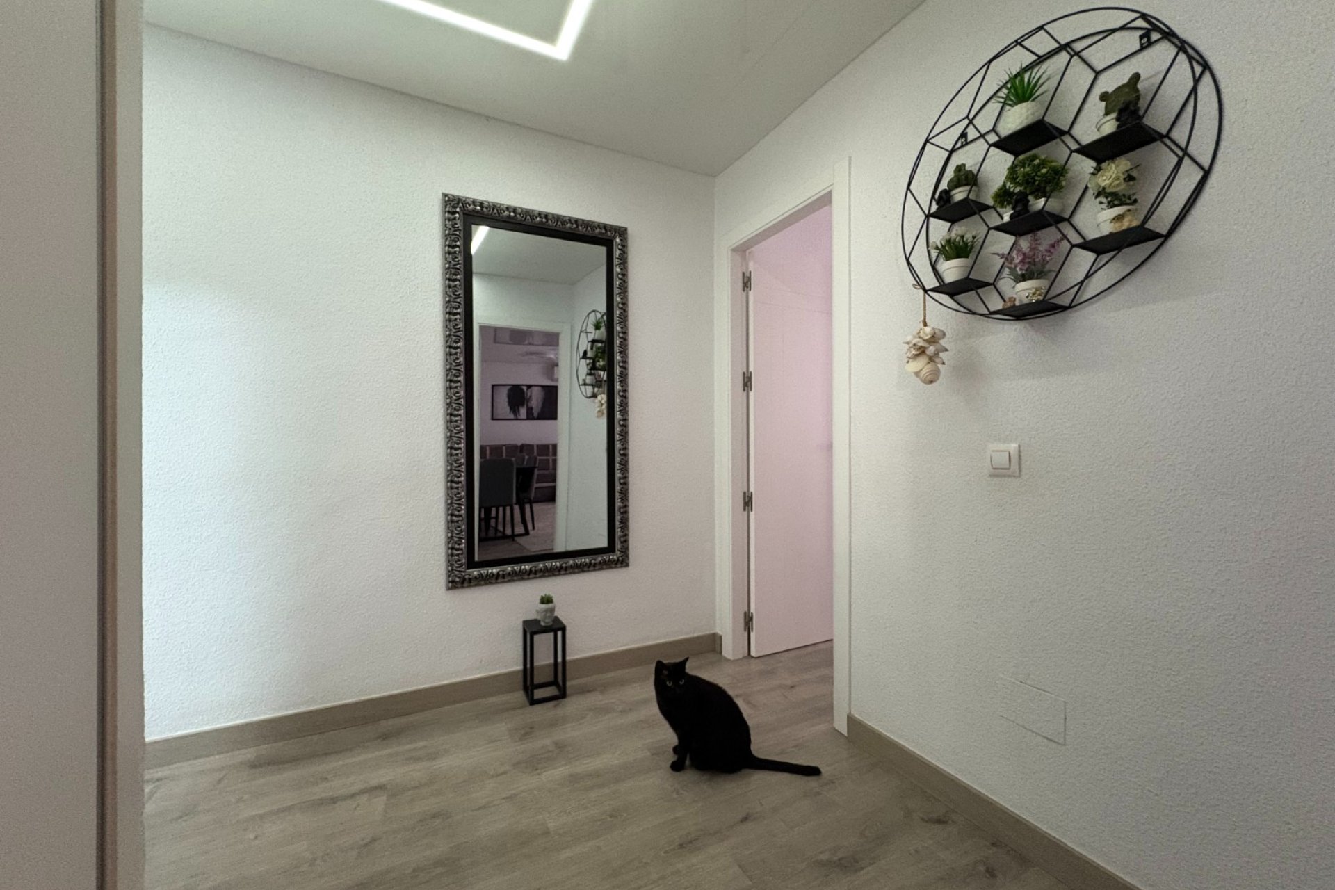  - Apartments -
Torrevieja - Centro