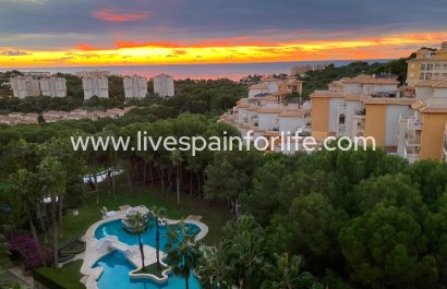 Apartments - Weiterverkauf - Orihuela Costa -
                    Dehesa de Campoamor