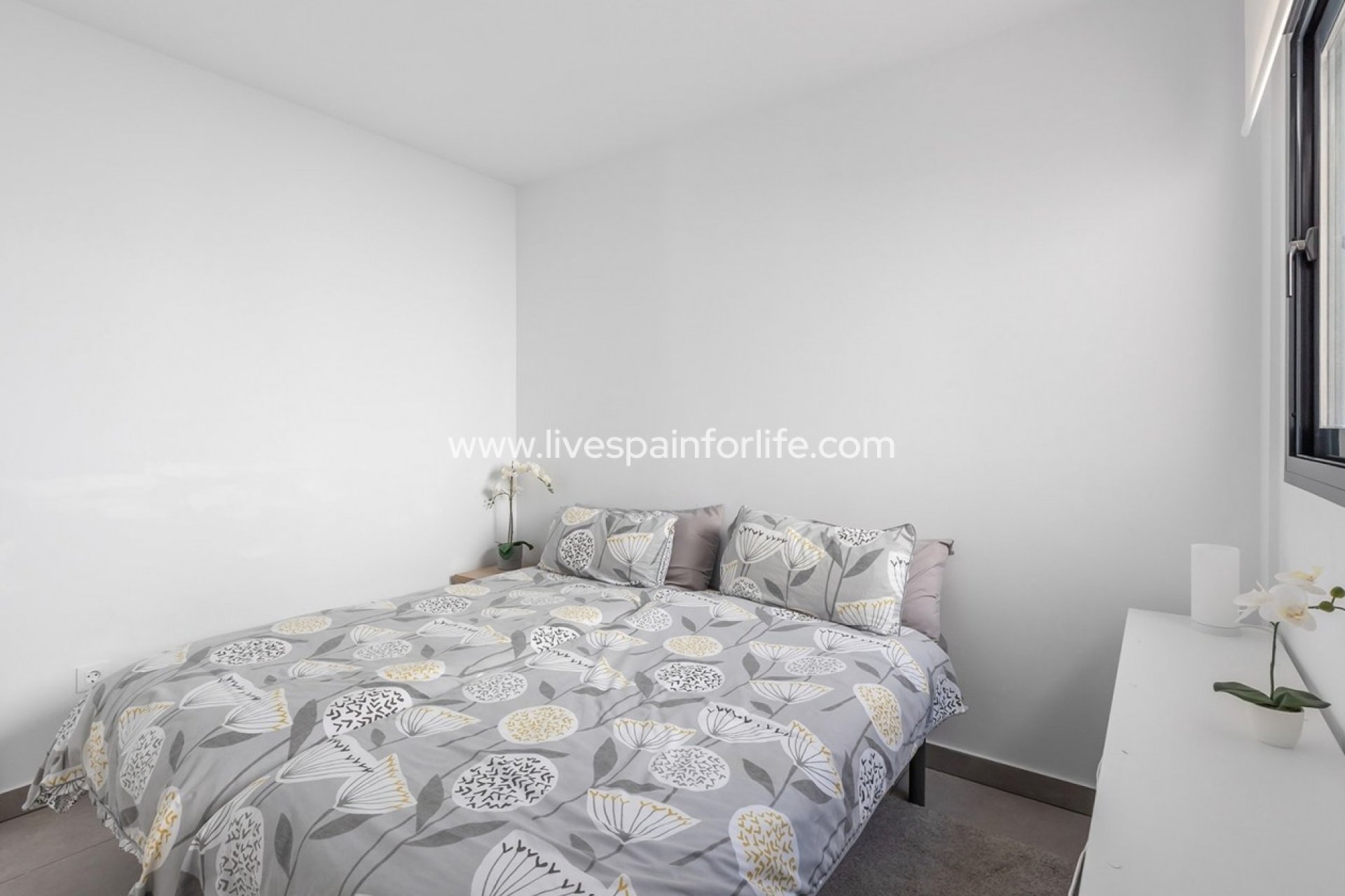  - Apartments -
