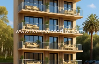 Apartments -  -  -
                    