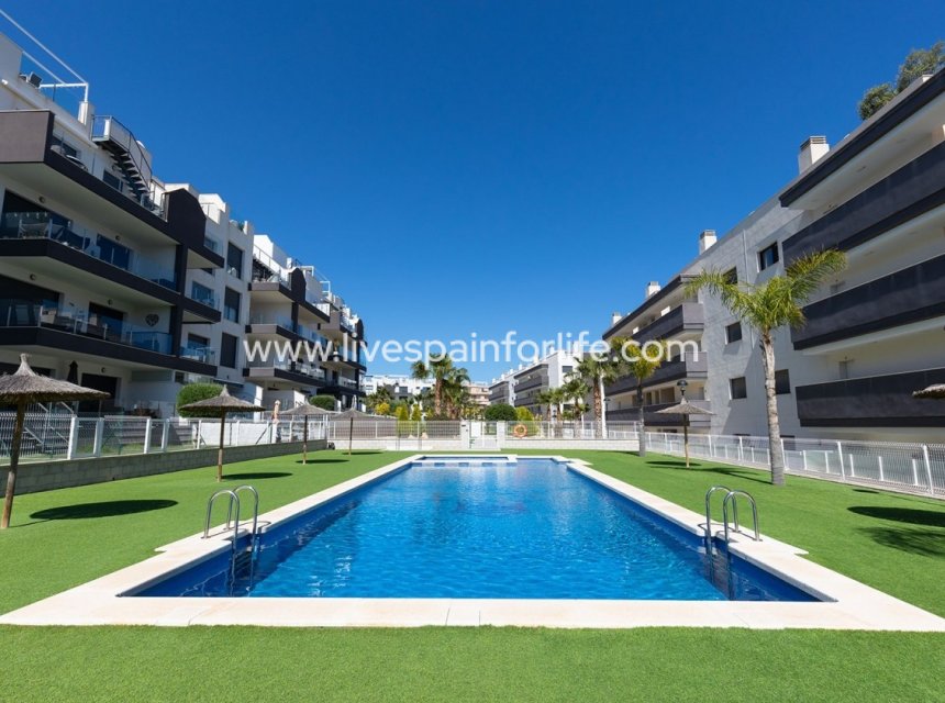  - Apartments -
