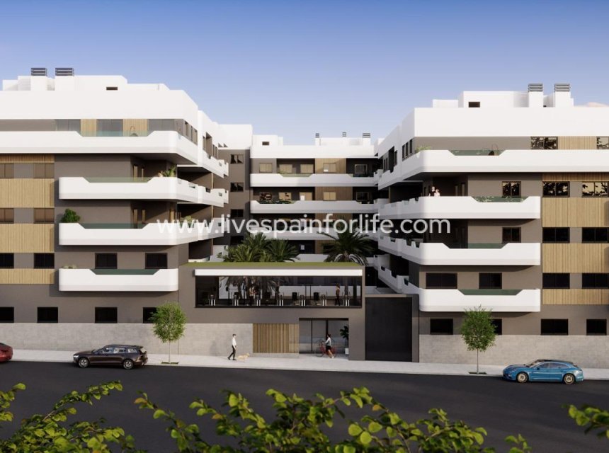  - Apartments -
