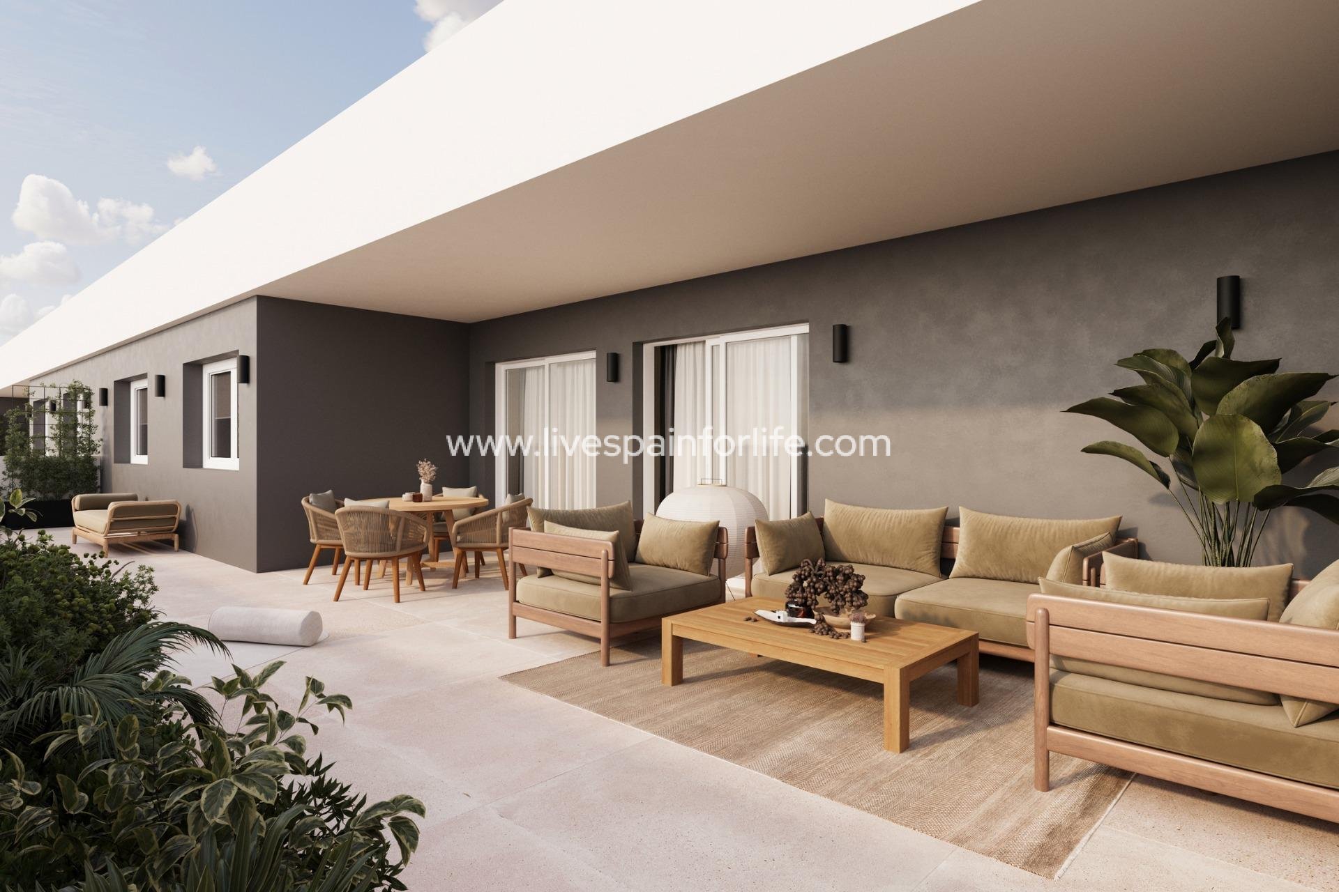  - Apartments -
