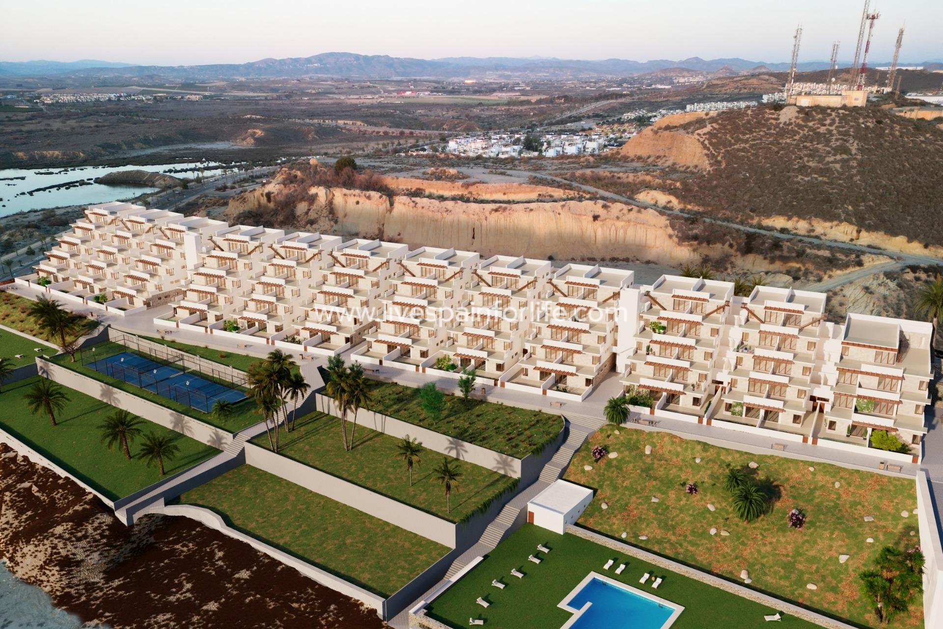  - Apartments -
