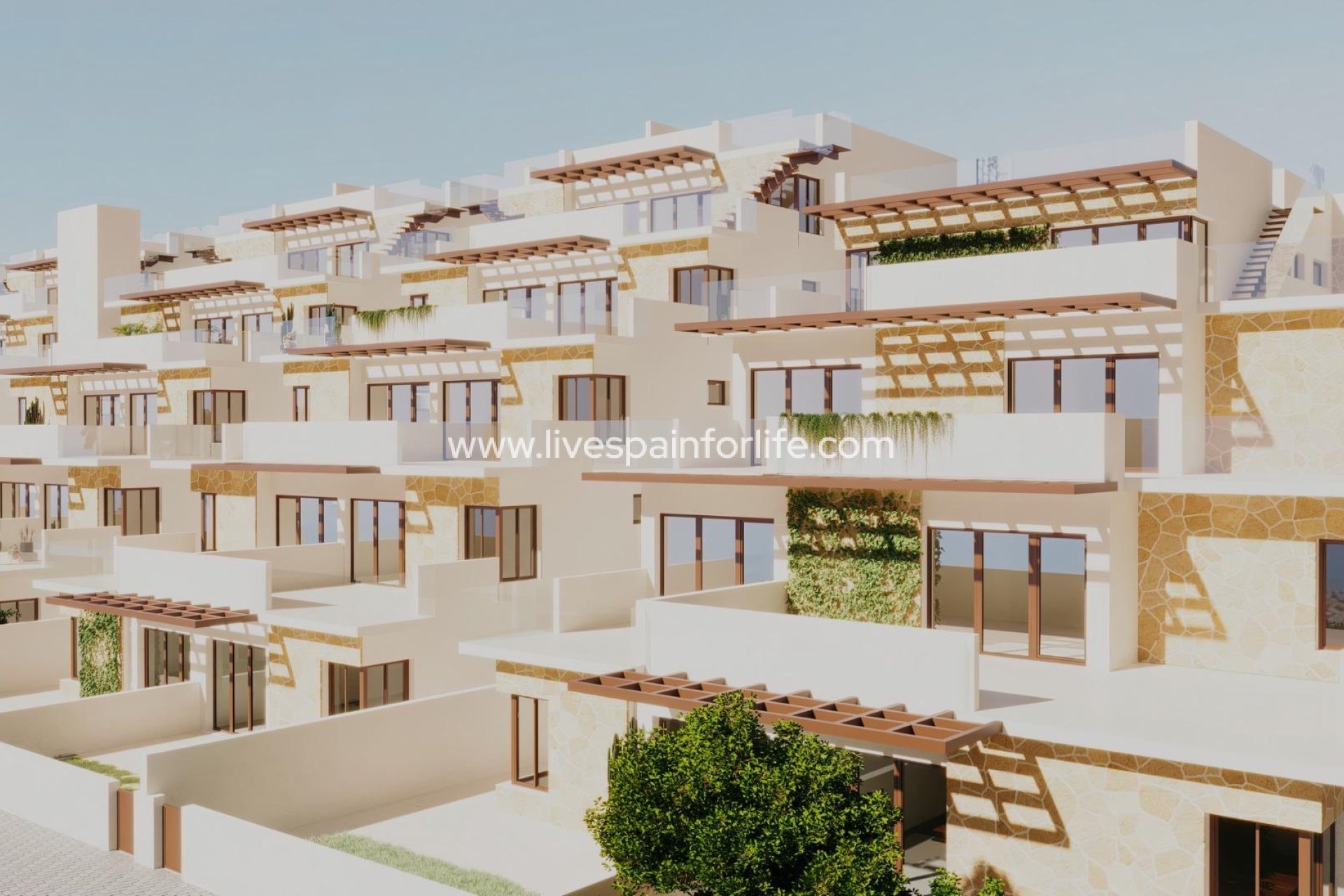  - Apartments -
