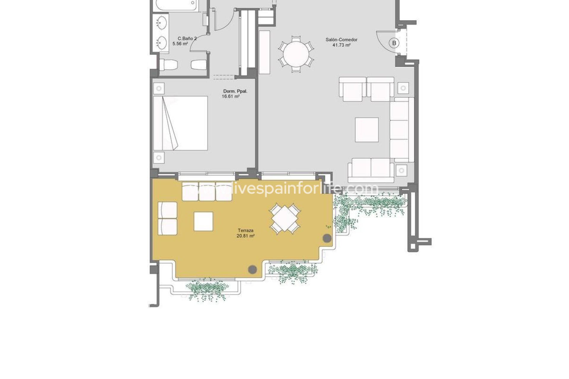  - Apartments -
