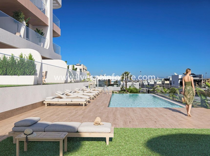  - Apartments -

