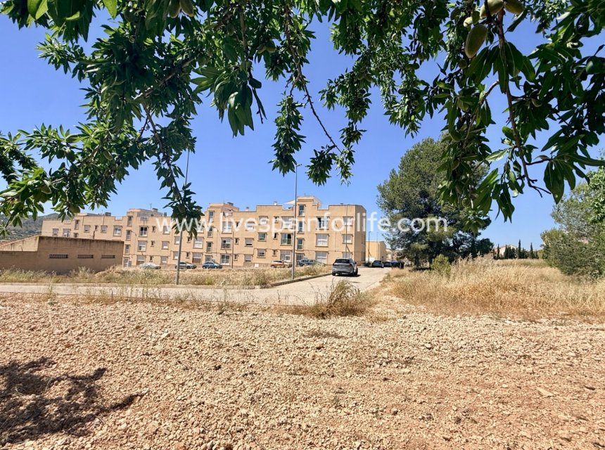  - Apartments -
