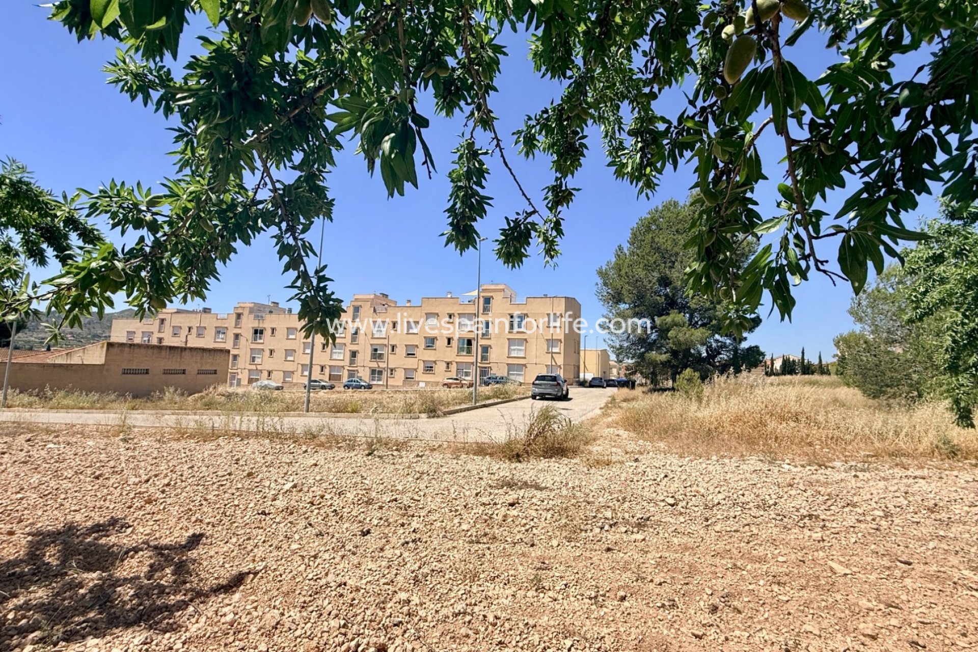  - Apartments -
