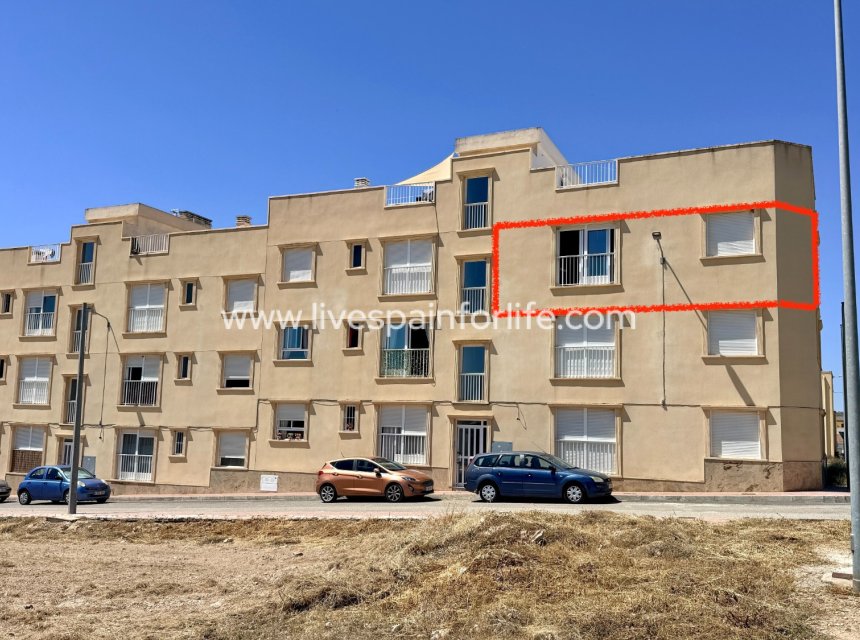  - Apartments -

