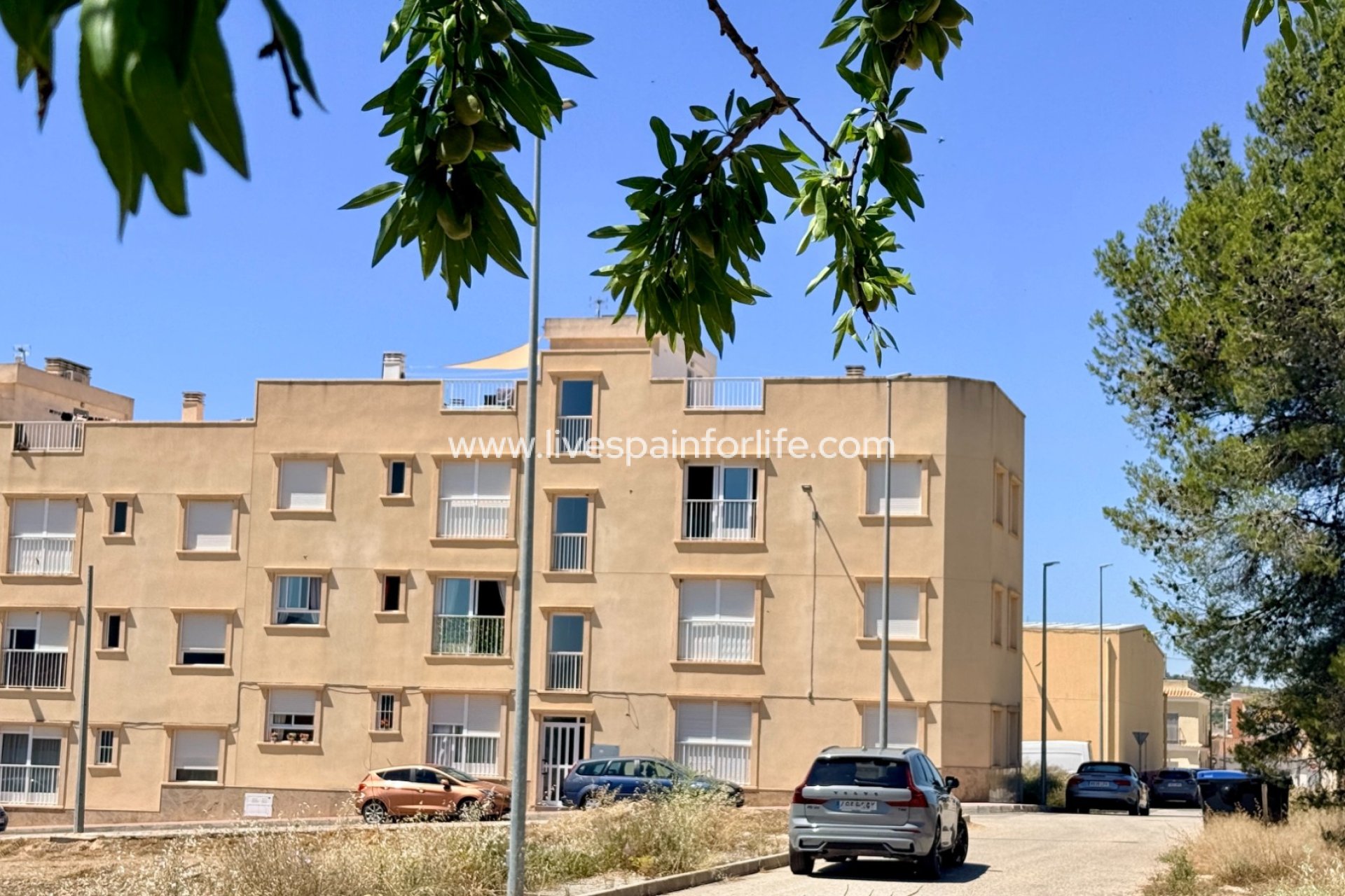  - Apartments -
