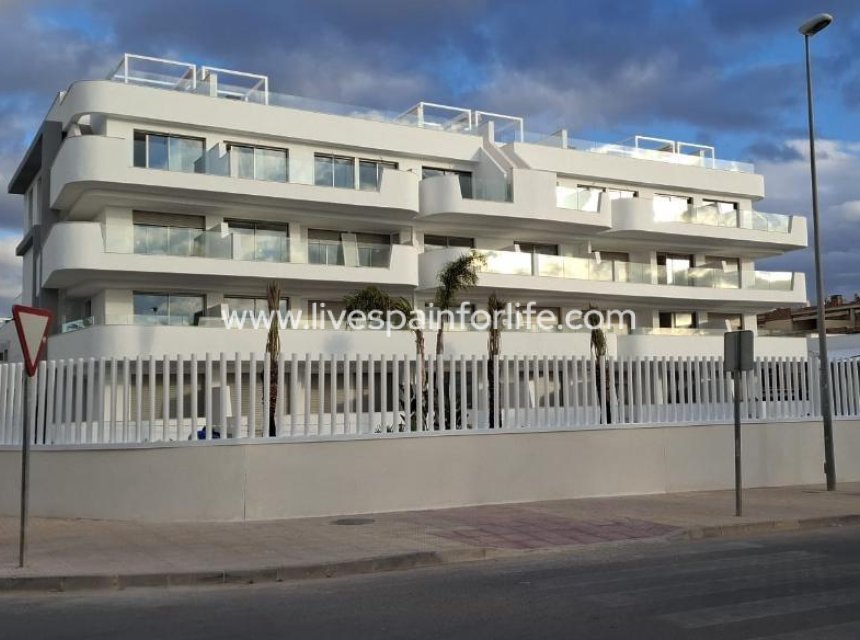  - Apartments -
