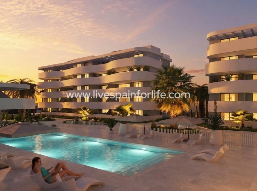  - Apartments -
