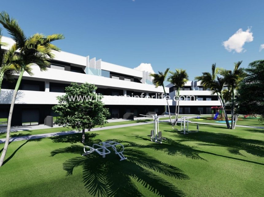  - Apartments -
