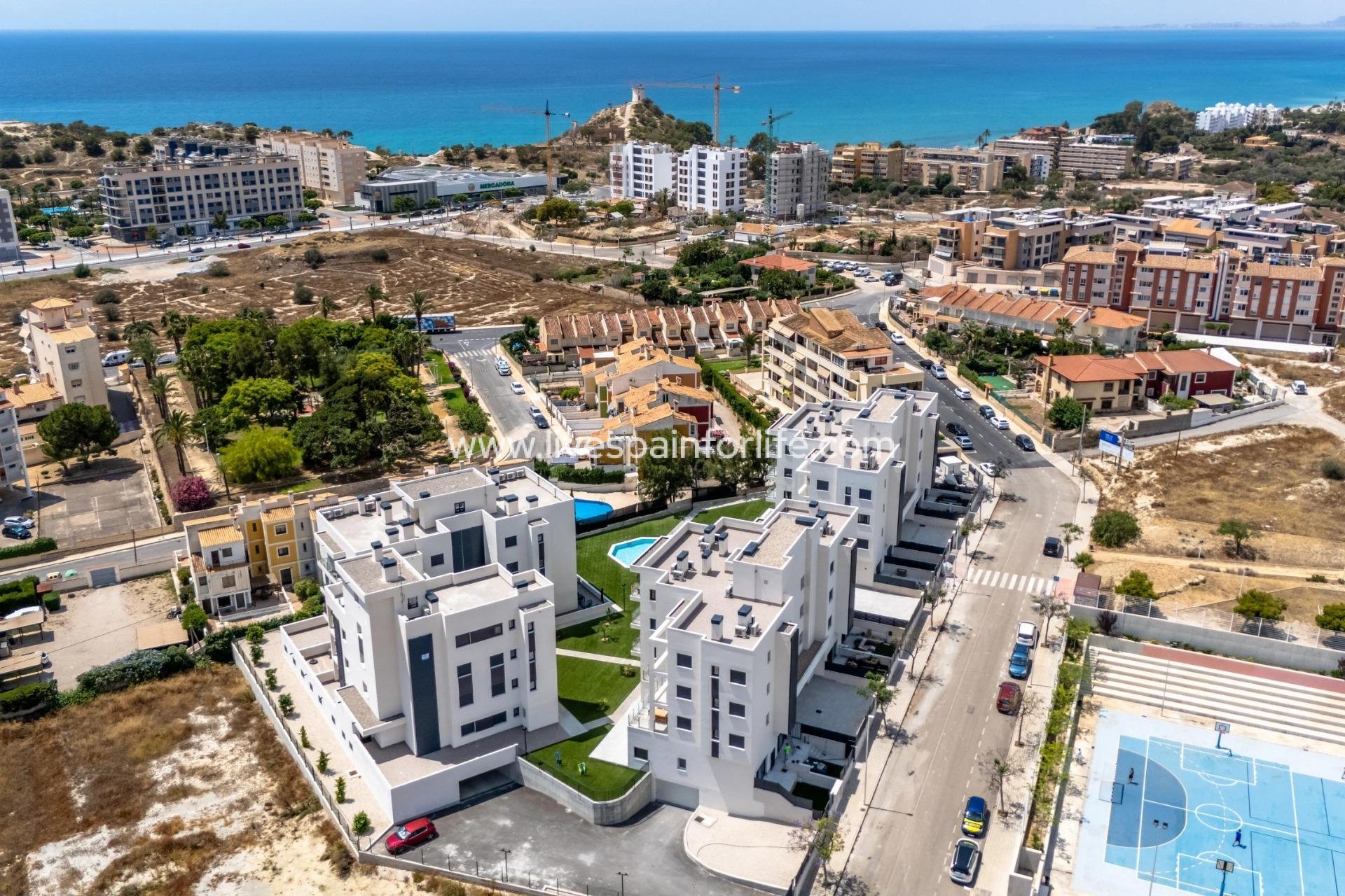  - Apartments -
