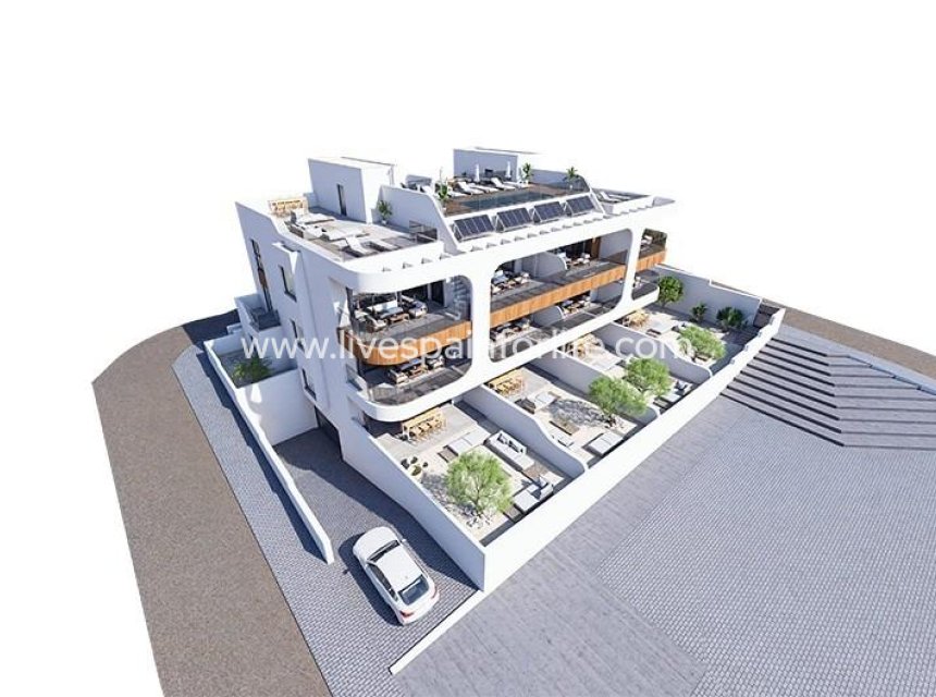  - Apartments -
