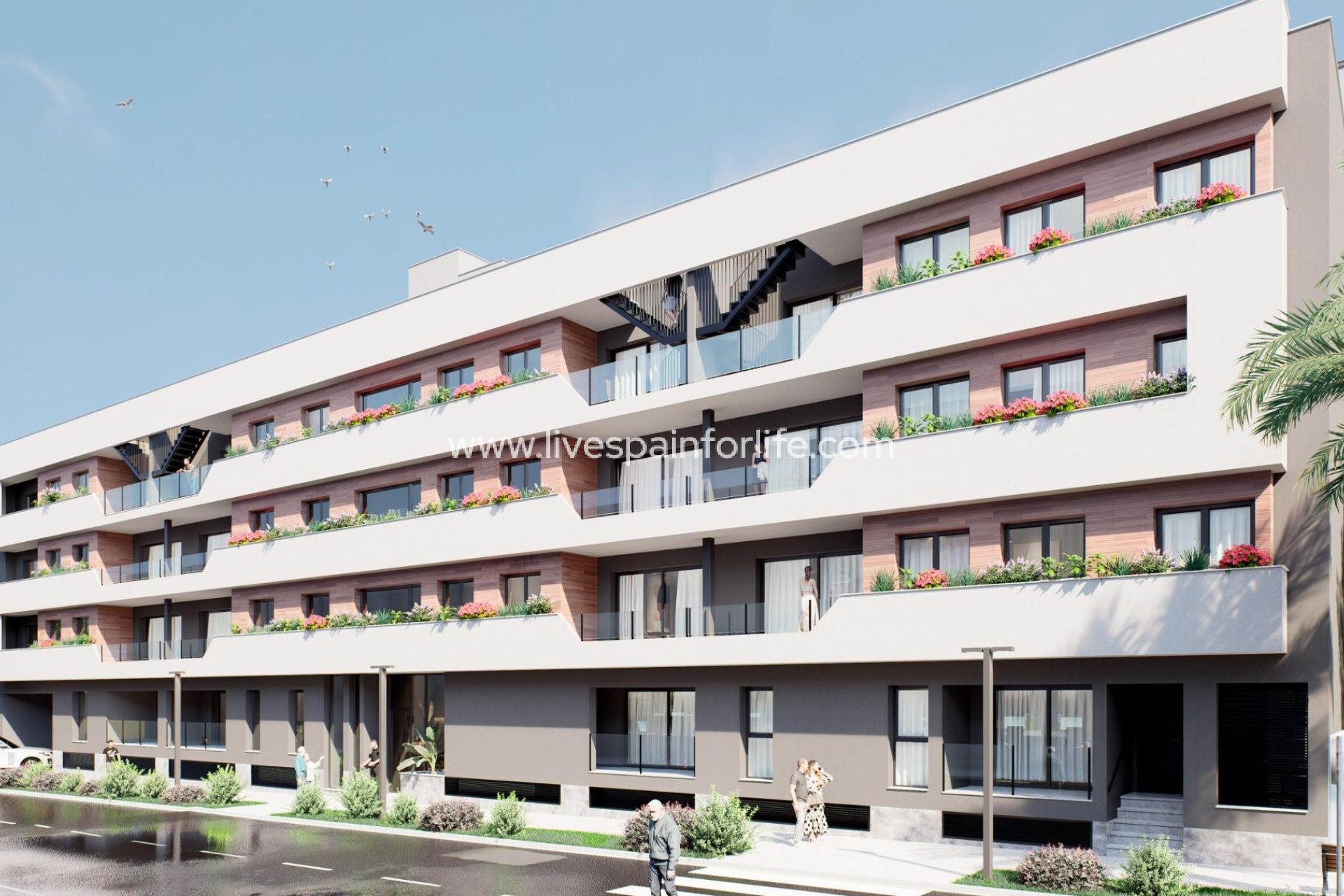  - Apartments -
