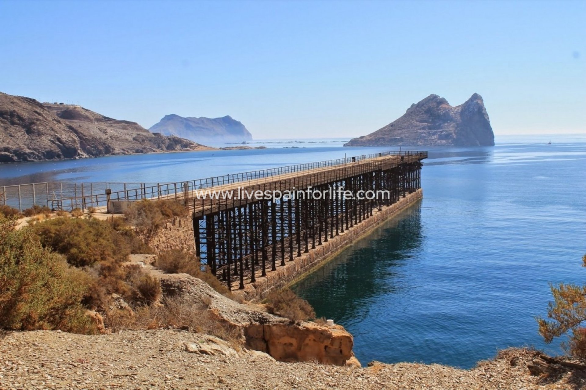  - Apartments -
