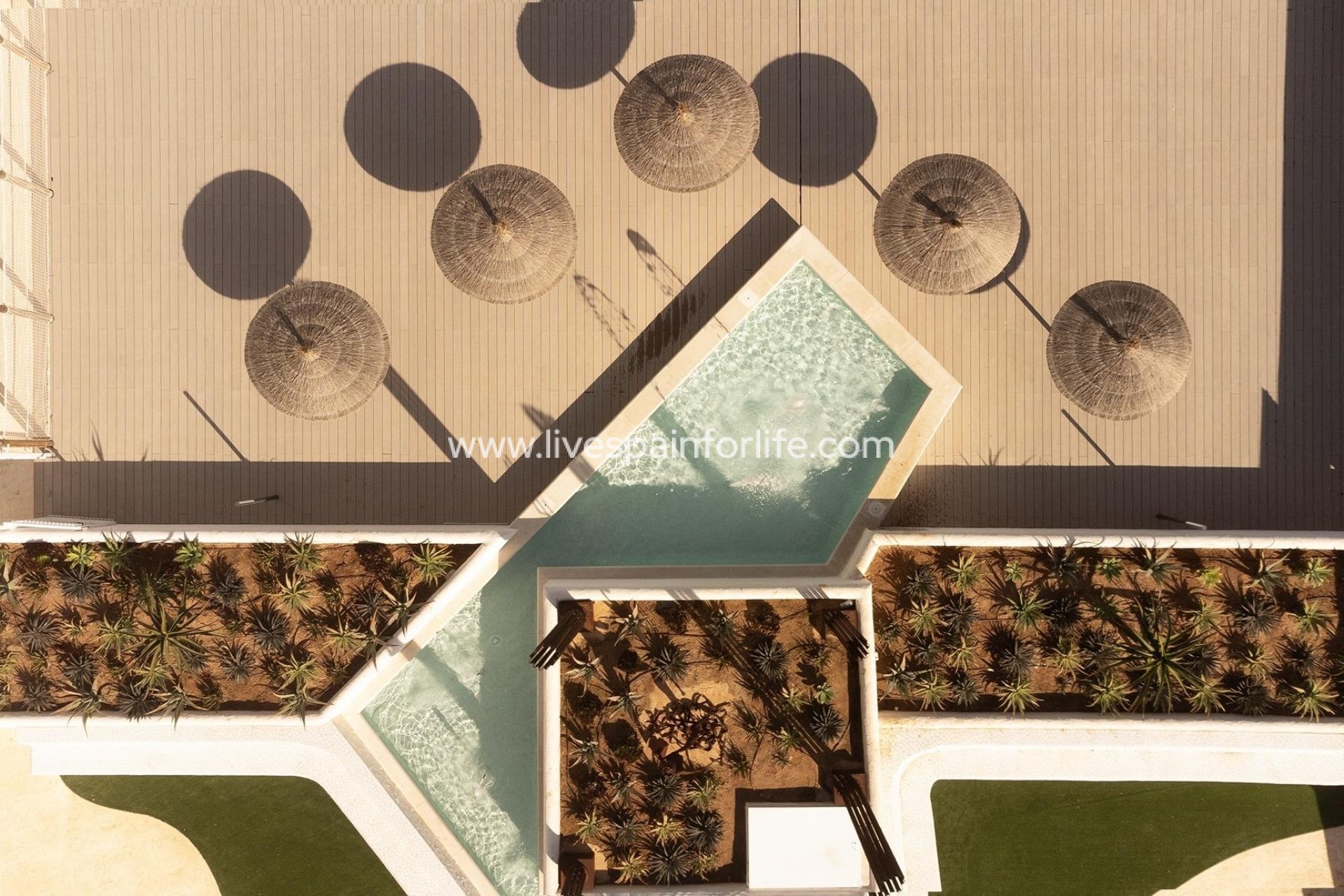  - Apartments -
