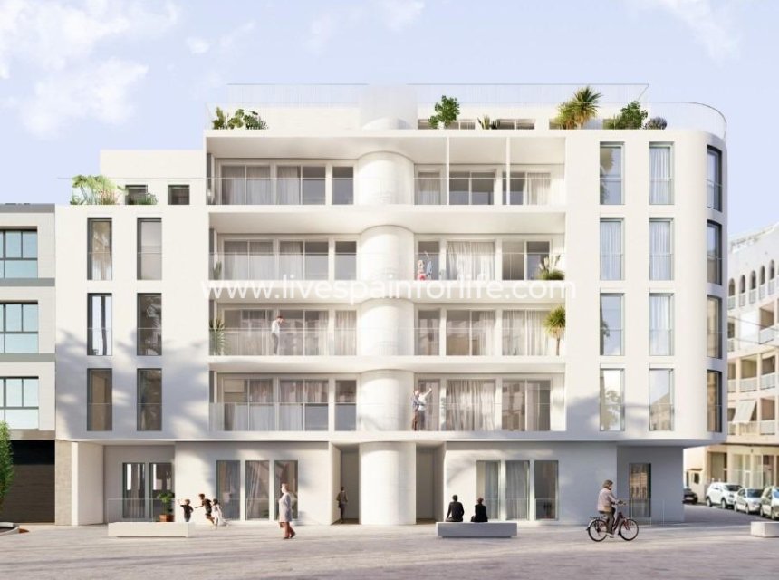  - Apartments -
