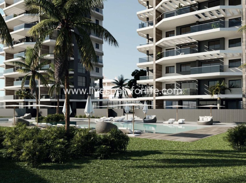  - Apartments -
