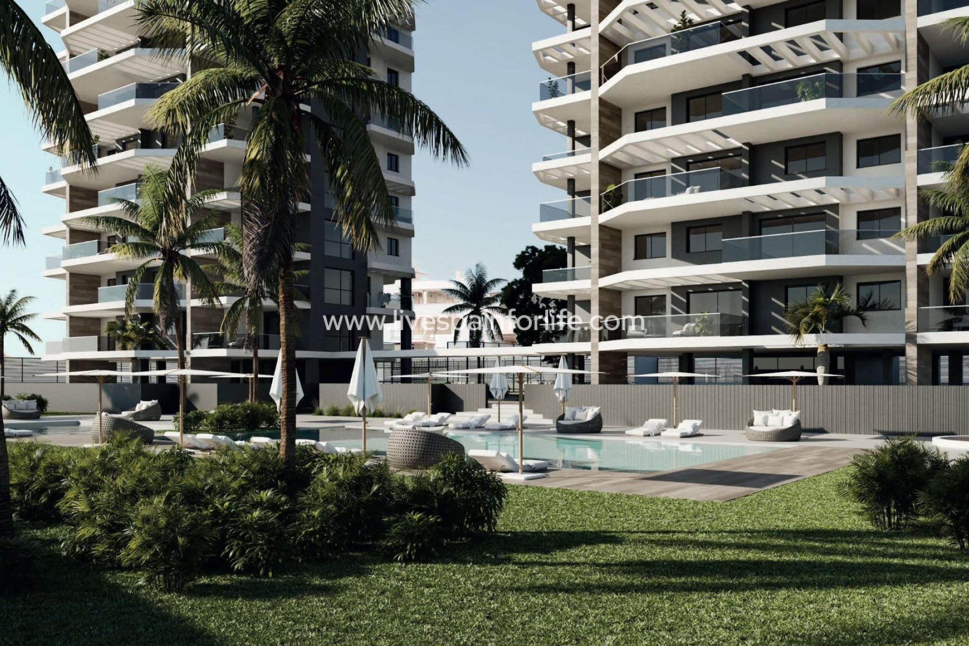  - Apartments -

