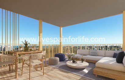 Apartments -  -  -
                    