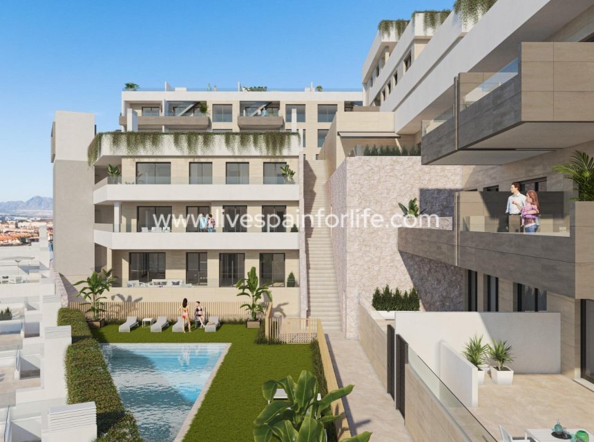  - Apartments -
