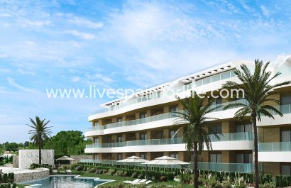 Apartments -  -  -
                    