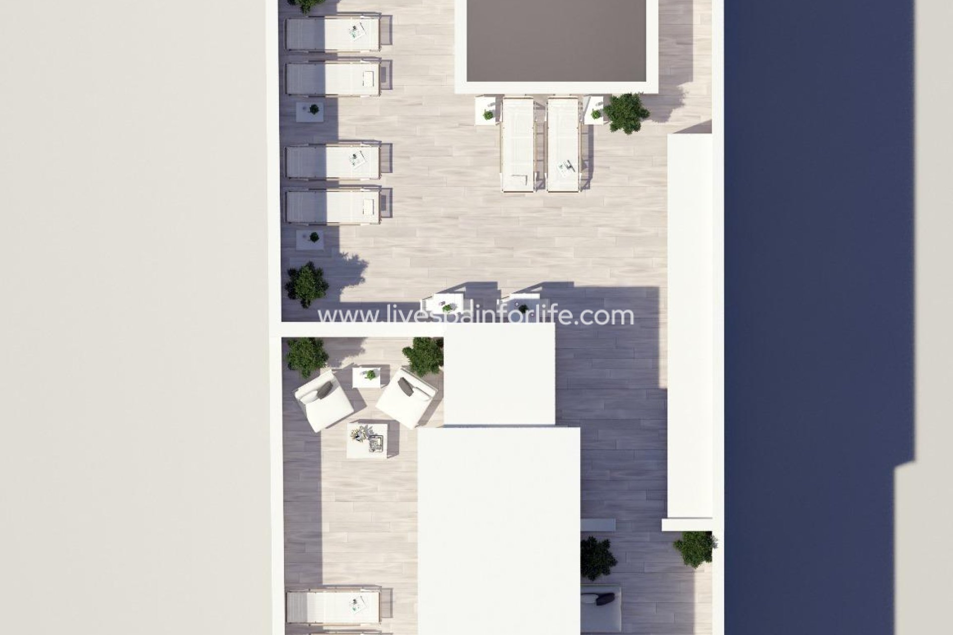  - Apartments -
