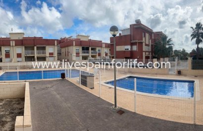 Apartments -  -  -
                    