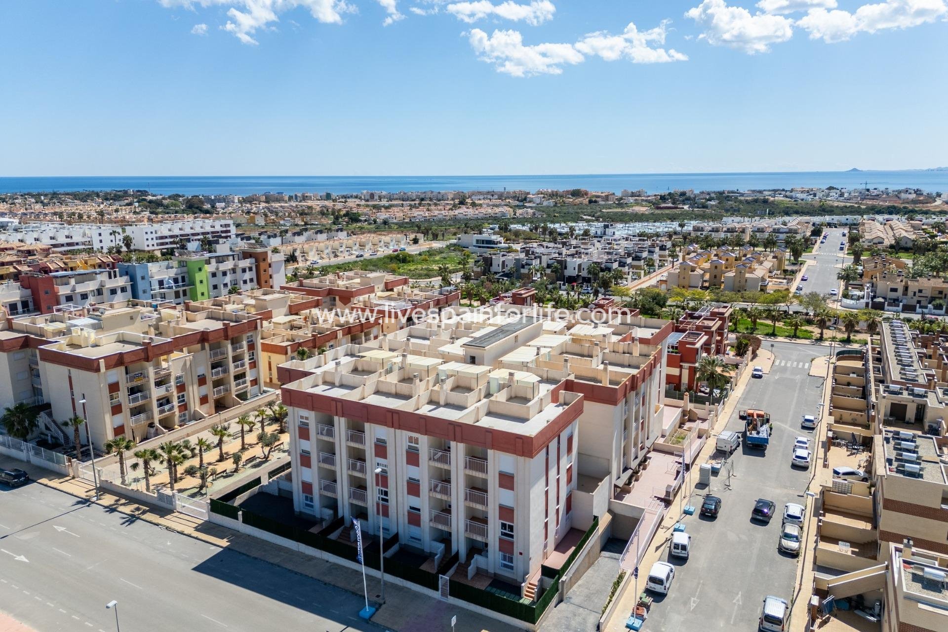  - Apartments -
