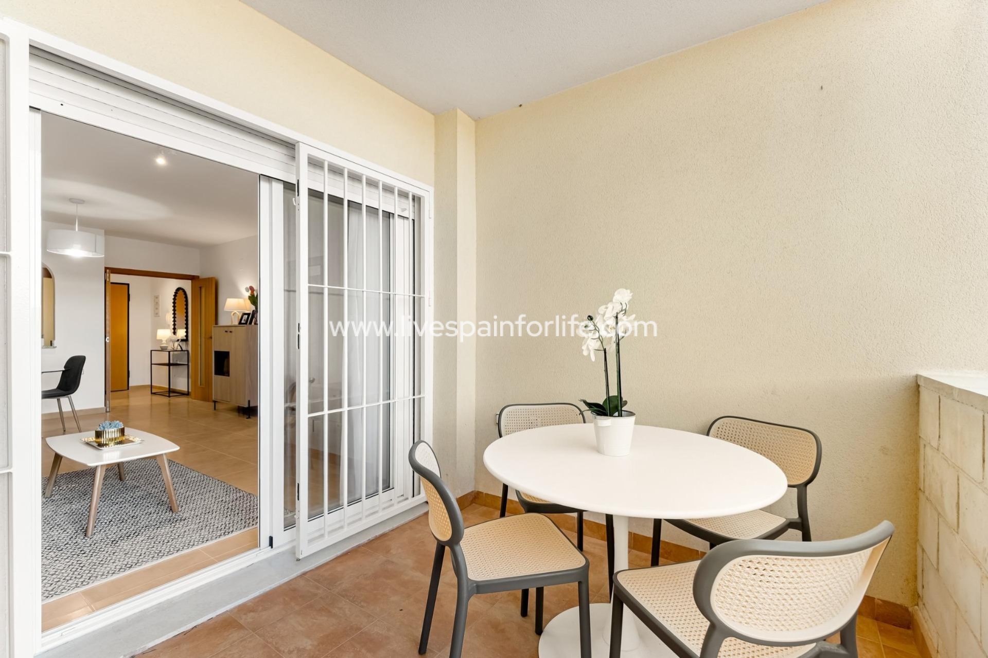  - Apartments -

