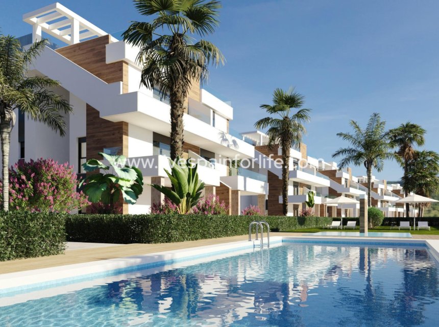  - Apartments -
