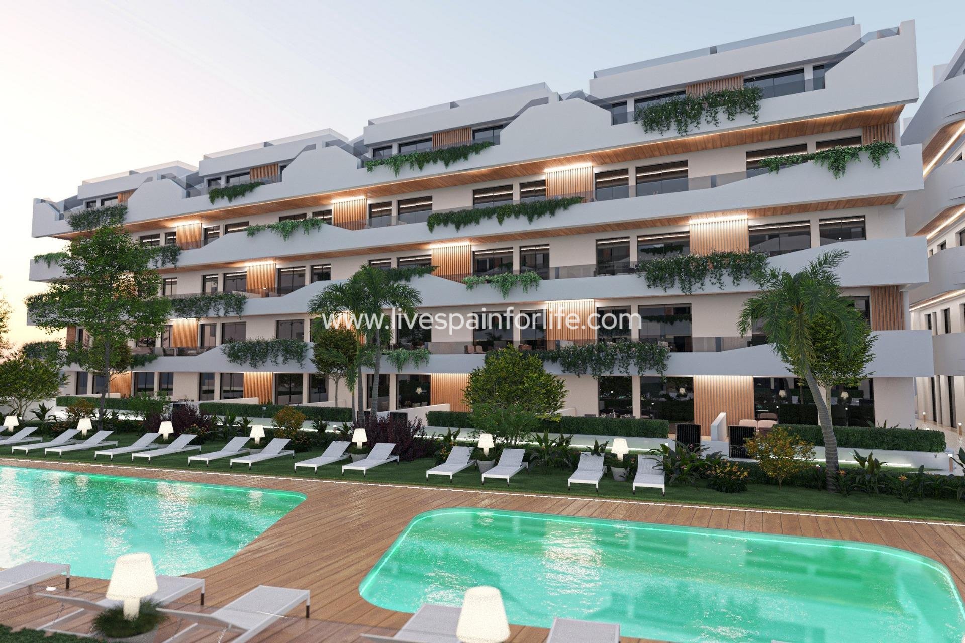  - Apartments -
