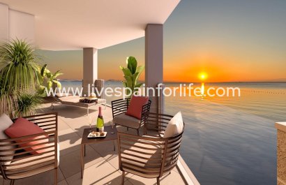 Apartments -  -  -
                    