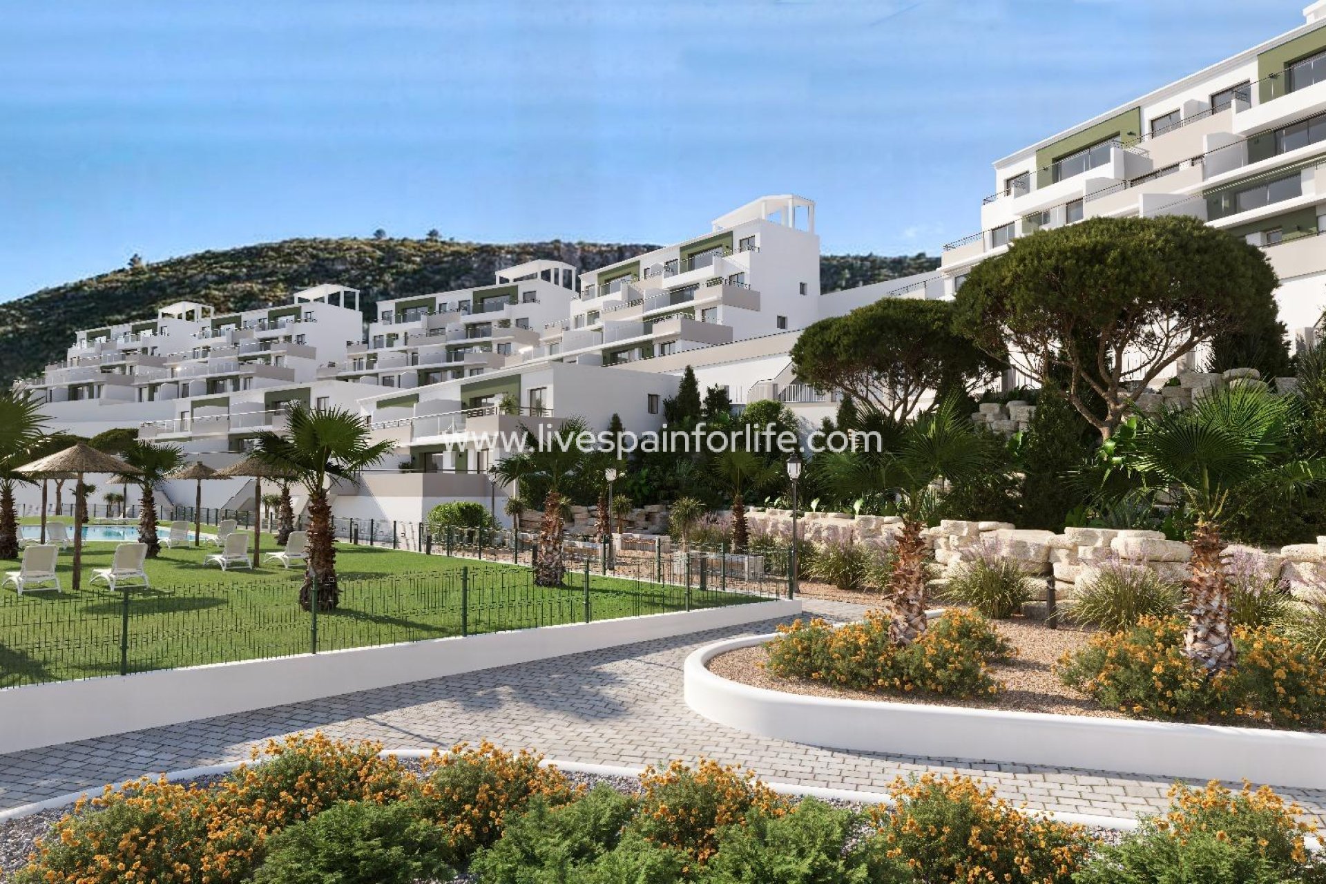  - Apartments -
