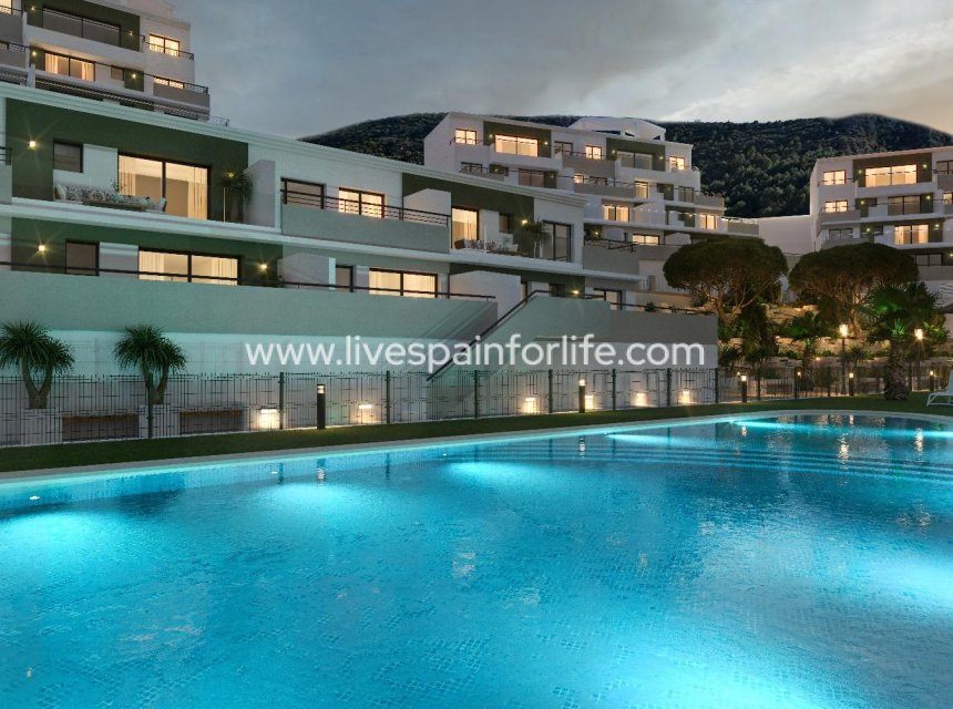  - Apartments -

