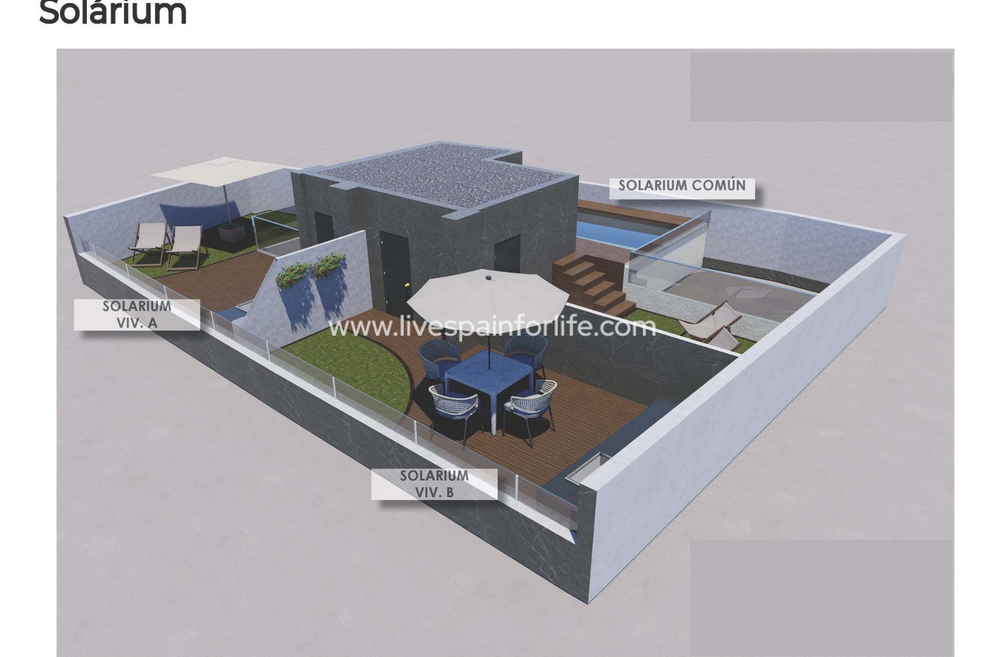  - Apartments -
