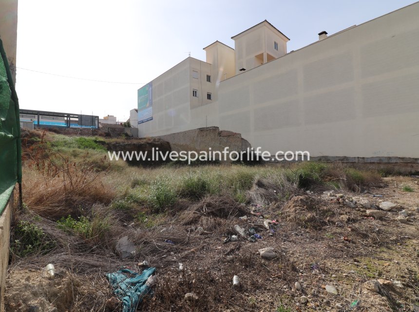  -  -
Benijofar - Benijofar - Village