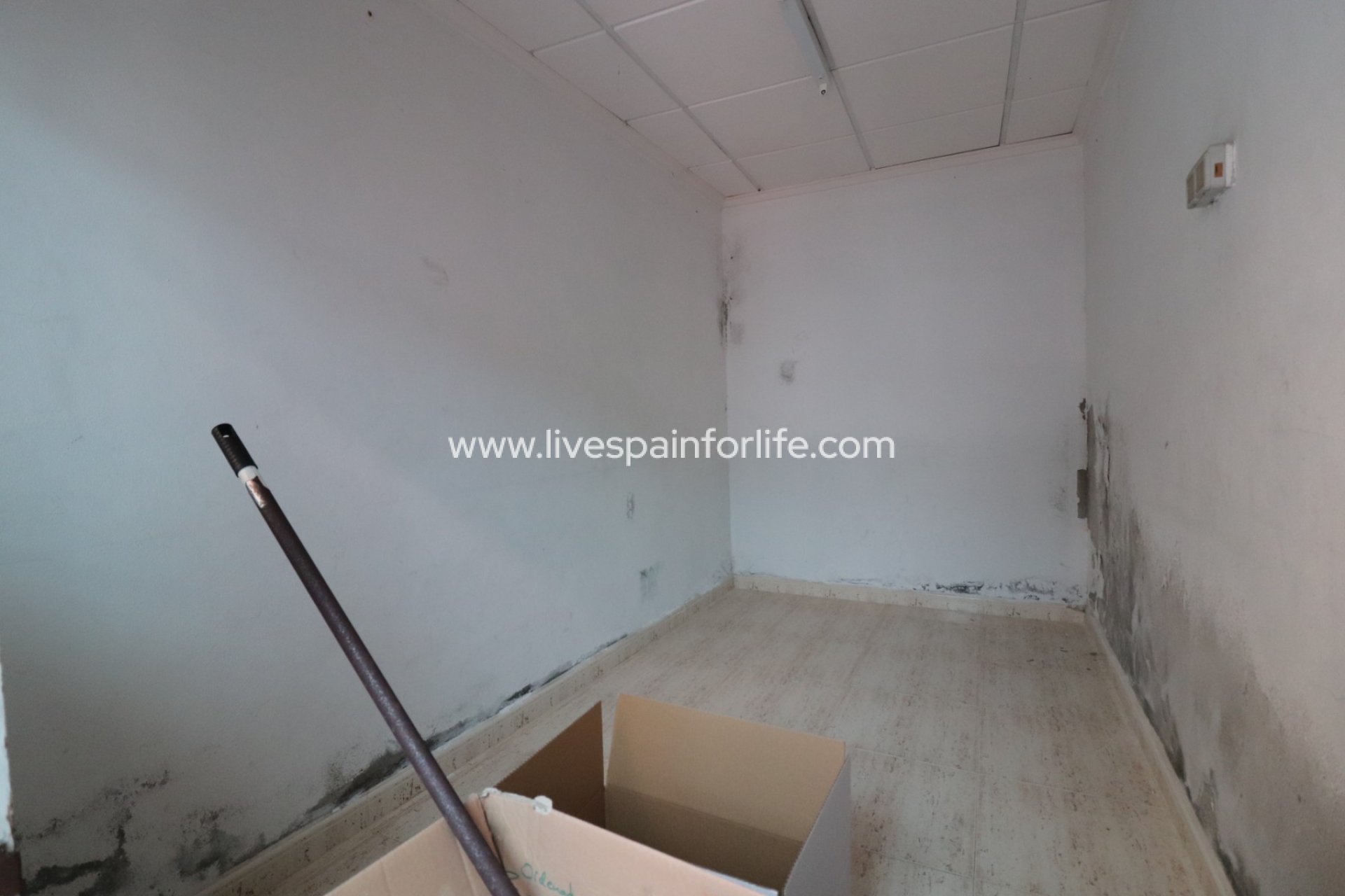  -  -
Benijofar - Benijofar - Village