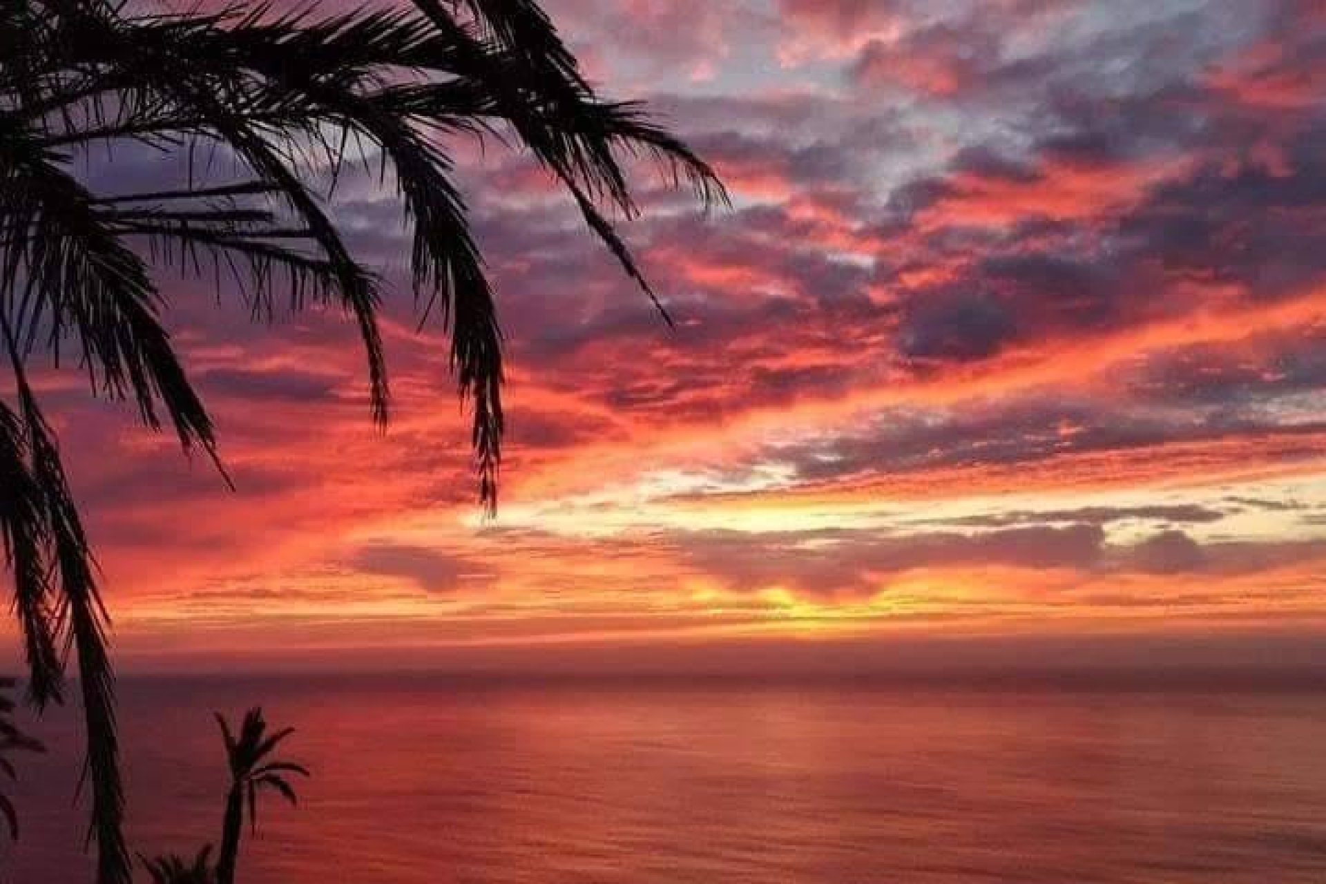  - Bungalow -
Torrevieja - Altos del Sol