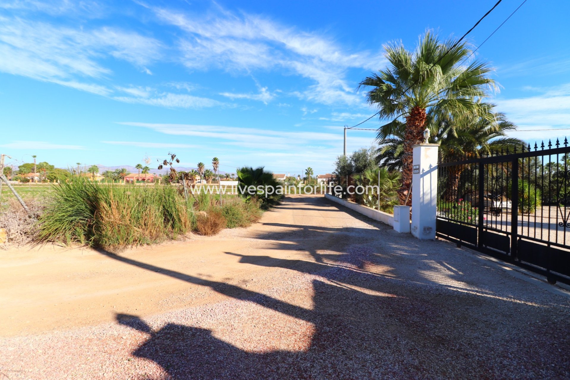  -  -
Catral - Catral - Country